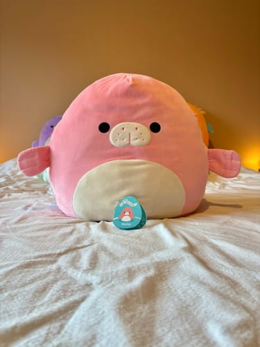 Customer photo review of Pre-Order Now: 40cm Morlai Manatee Squishmallows Available This Autumn