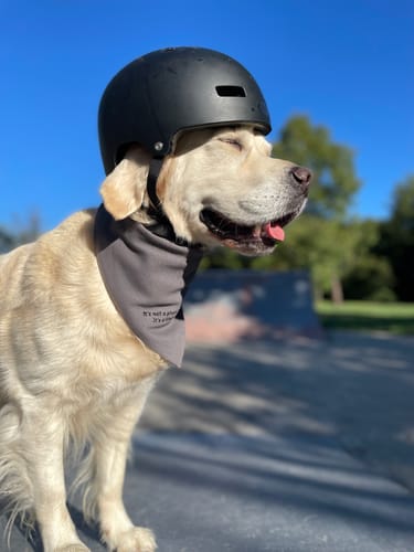 Customer photo review of Custom Saying Embroidered Bandana