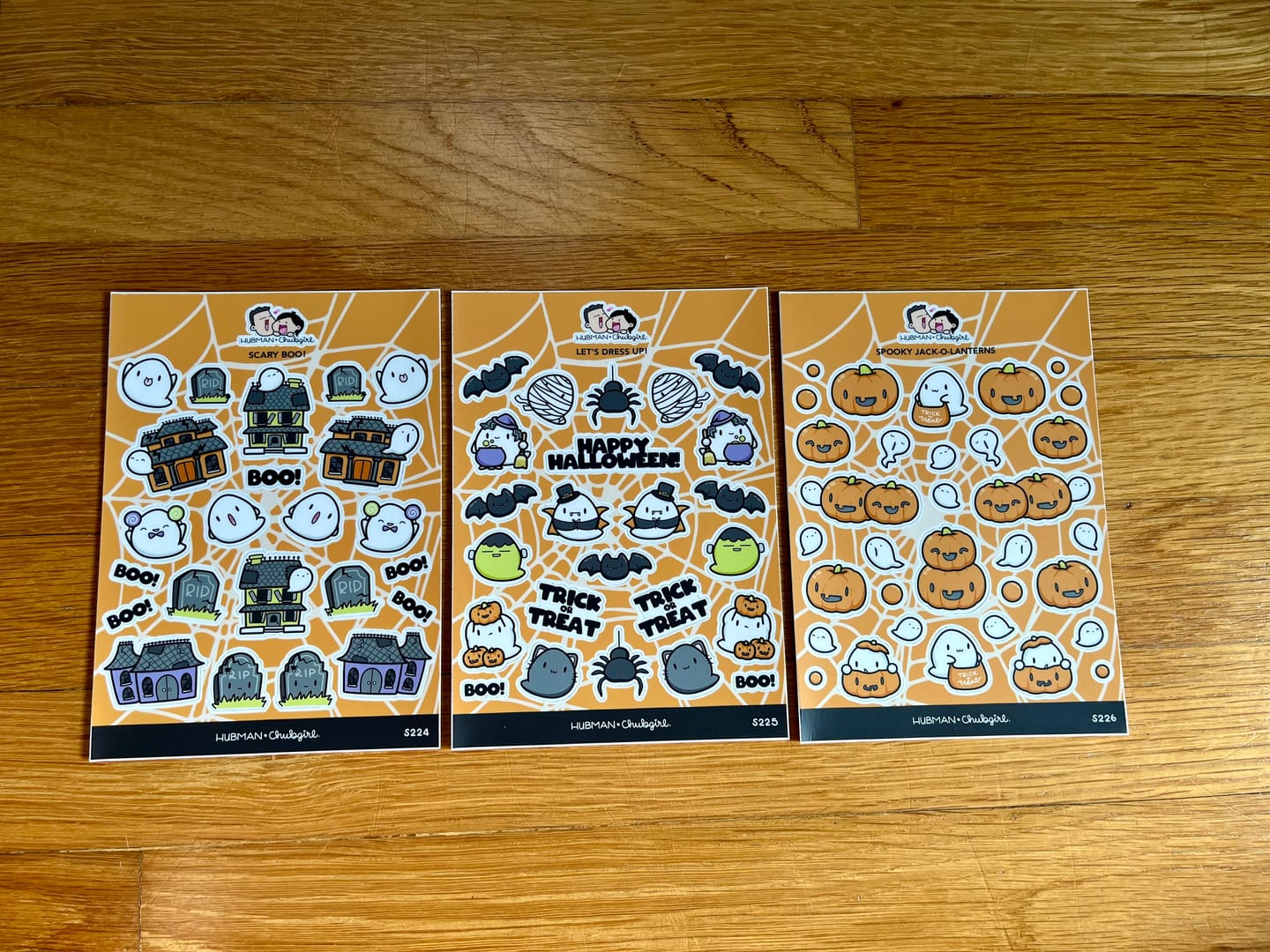 Customer photo review of Let's Dress Up Sticker Sheet