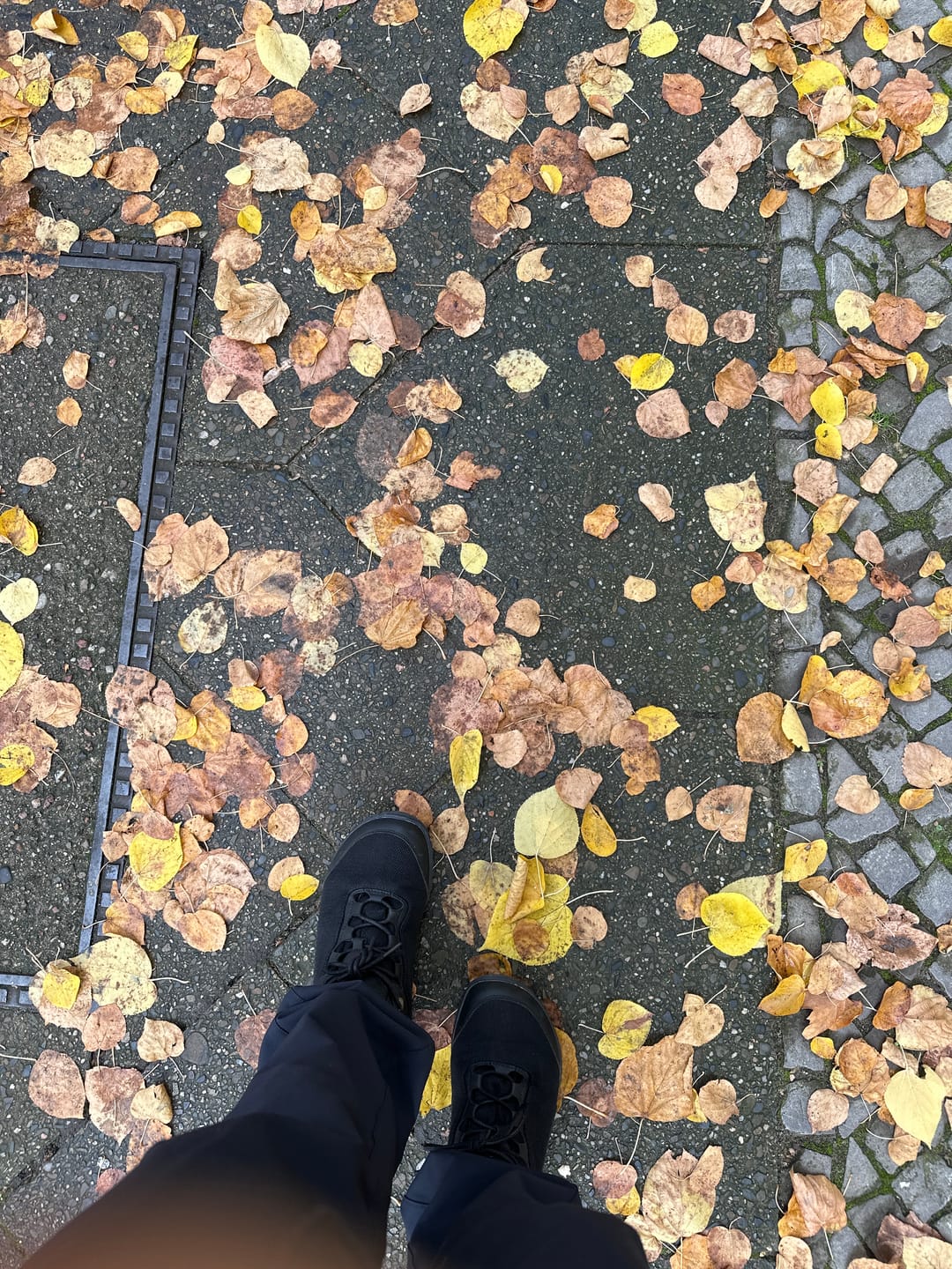 Customer photo review of Brave Ⅰ - Barfußschuhe