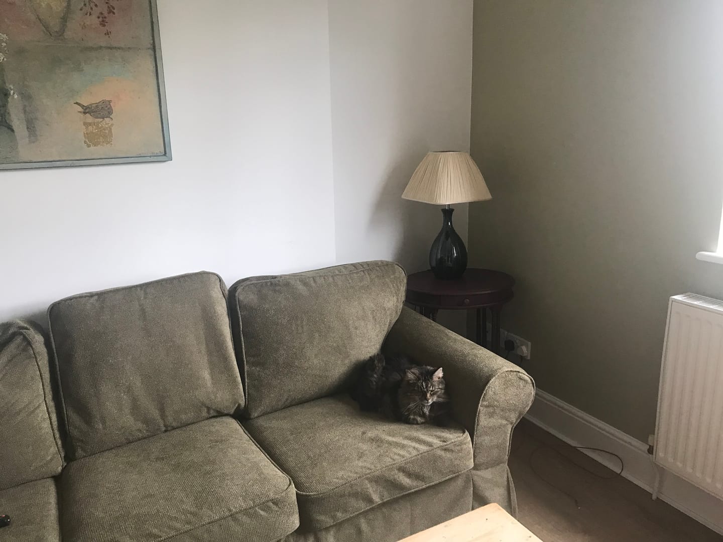 Customer photo review of EKTORP 3 Seat IKEA Sofa Cover
