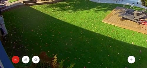 Customer photo review of GCI Turf Cool Blue Grass Seed