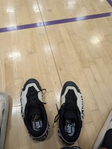 Customer photo review of Ranger1 Zebra