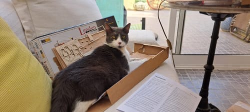 Customer photo review of Maqueta Tranvía London