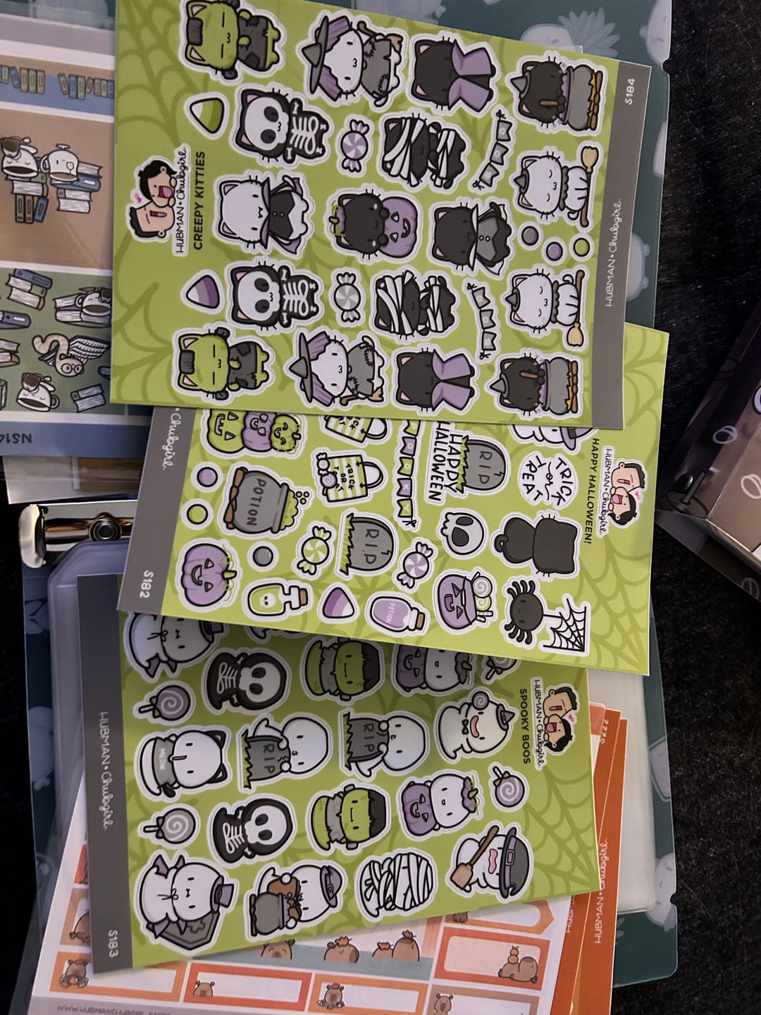 Customer photo review of Halloween 2023 Bundle