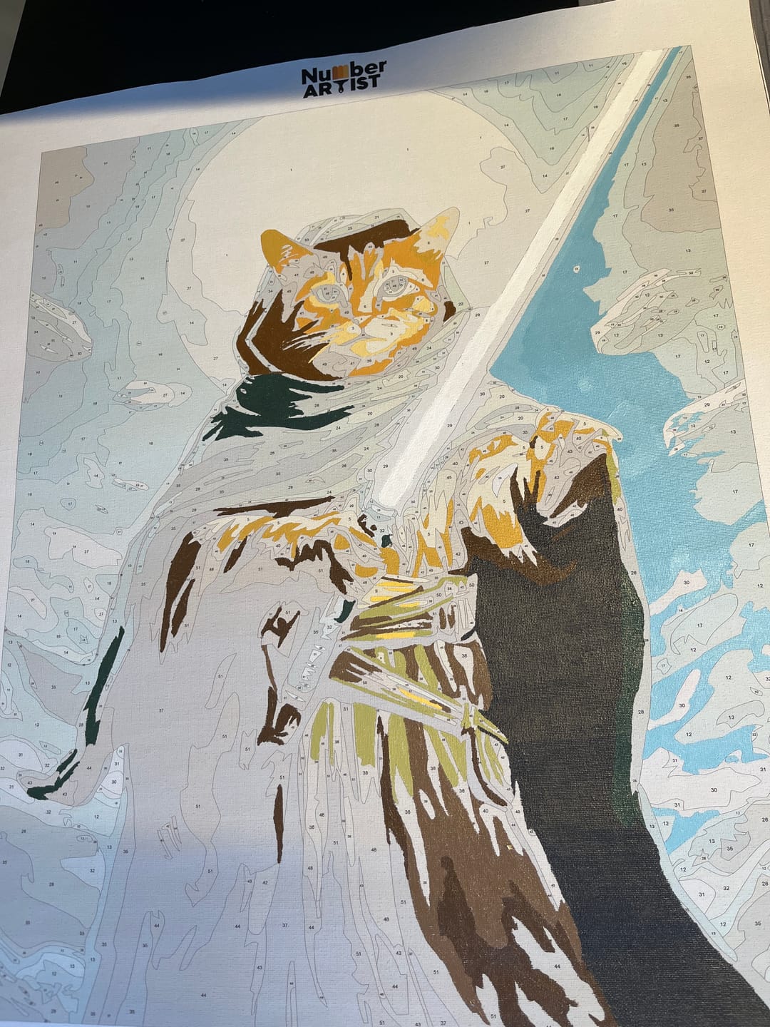 Customer photo review of Cat Saber