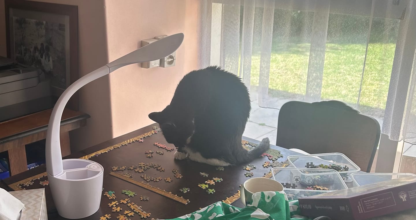 Customer photo review of Whisky Puzzle - Scotland