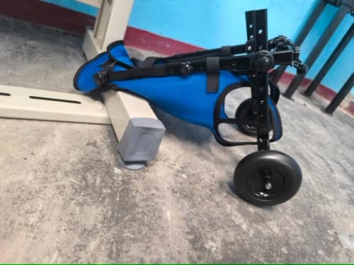 Customer photo review of Adjustable Dog Wheelchairs for Back Legs Dog Wheelchair Cart for Hip Support Mobility Aids for Small Pets Hind Limbs