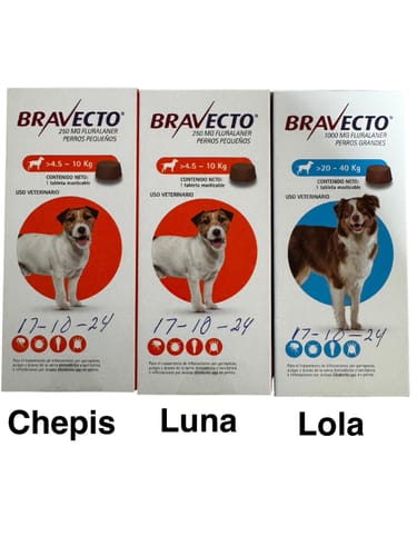 Customer photo review of Bravecto®