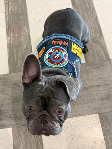 Customer photo review of Rocker Harness 2.0