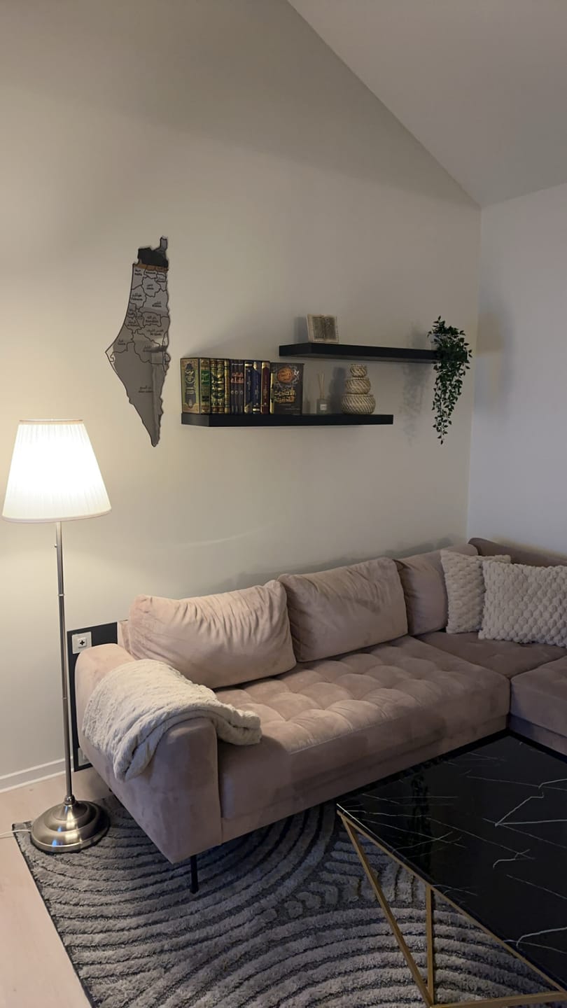 Customer photo review of UV Print Palestine Map Wall Decor - Wood/Plexy Shiny Wall Art