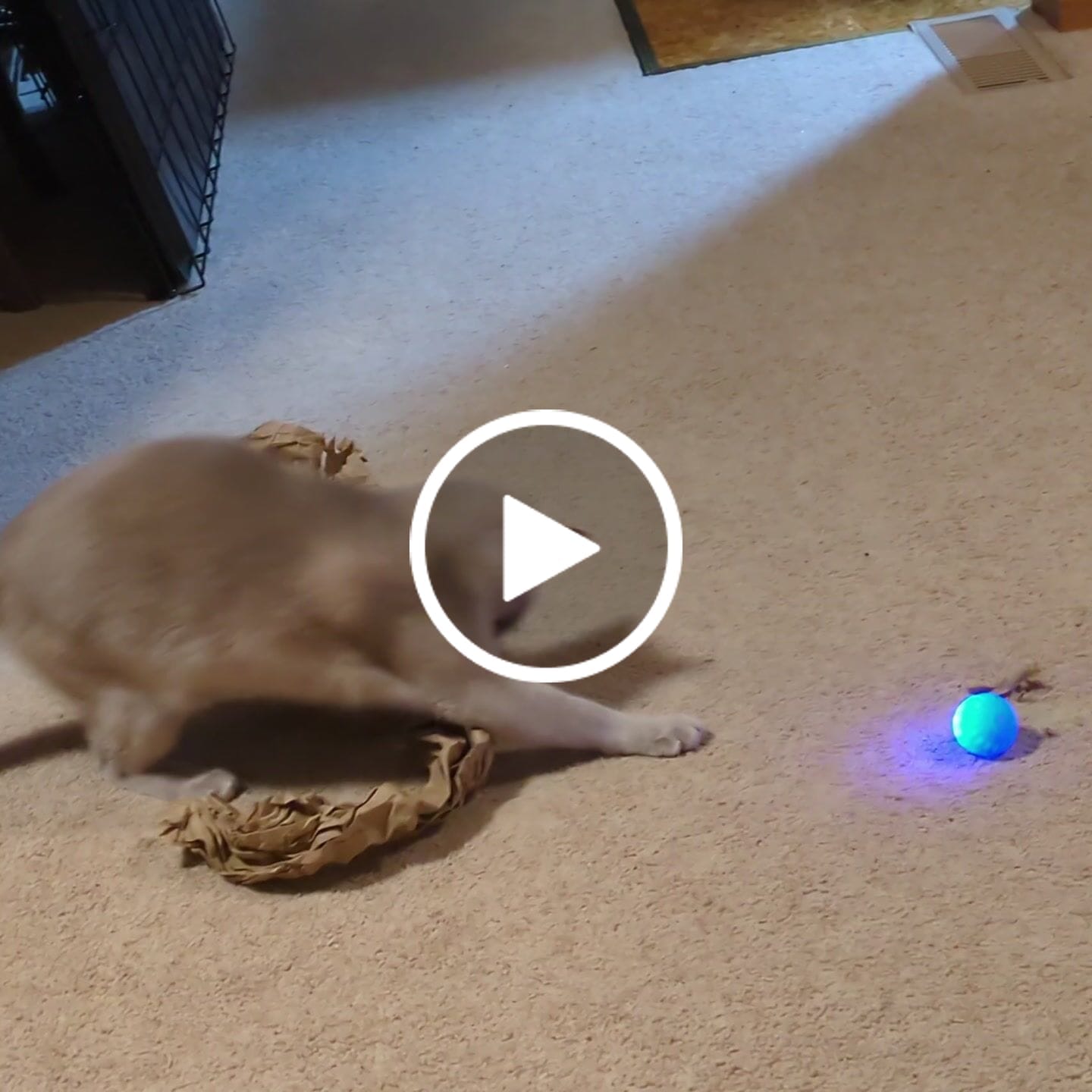 Customer video review of POWER BALL 2.0