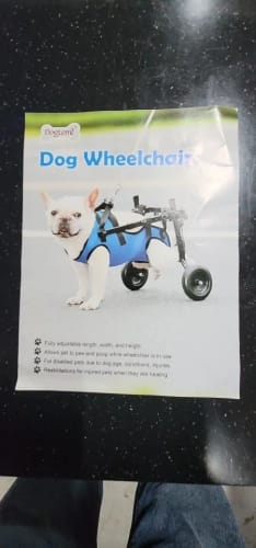 Customer photo review of Adjustable Dog Wheelchairs for Back Legs Dog Wheelchair Cart for Hip Support Mobility Aids for Small Pets Hind Limbs