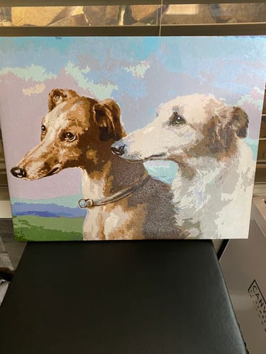 Customer photo review of Two Greyhounds - Paint by Numbers