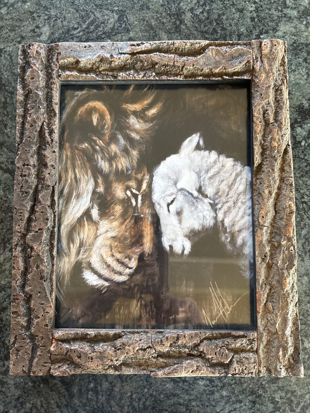 Customer photo review of Compassion of a King