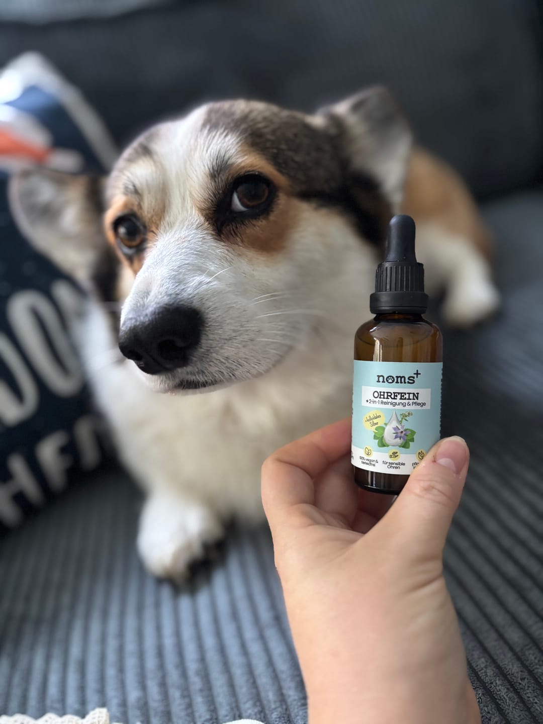 Customer photo review of 2-in-1 Ohrfein Reinigung & Pflege für Hunde & Katzen mit kolloidalem Silber