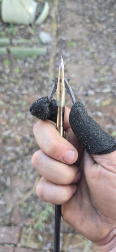Customer photo review of Beast Broadheads (2-Pack + Practice Tip)