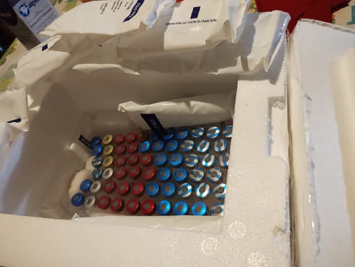 Customer photo review of Programa Revacunación Anual Indispensable