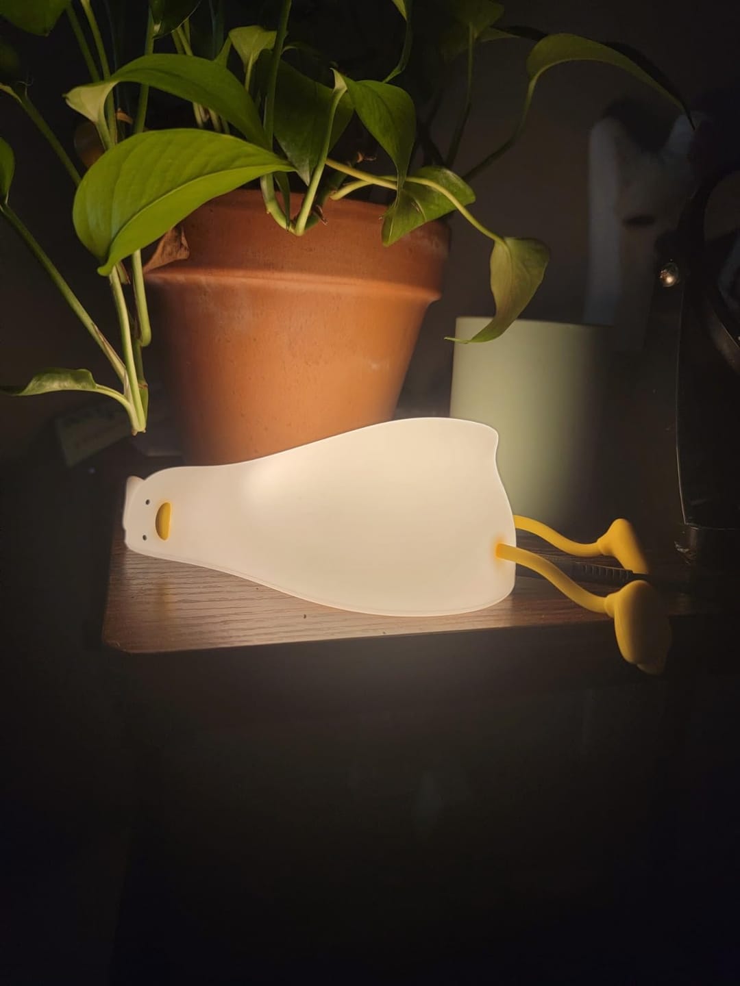 Customer photo review of Huggwaii Squishy Silicone Lazy Duck LED Night Light - Perfect Gift for Kids and Girls