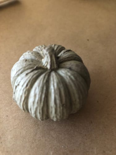 Customer photo review of Small Pumpkin Mold