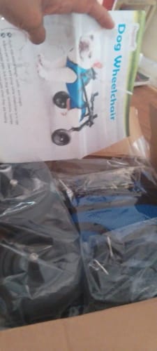 Customer photo review of Adjustable Dog Wheelchairs for Back Legs Dog Wheelchair Cart for Hip Support Mobility Aids for Small Pets Hind Limbs