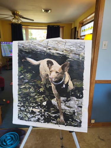 Customer photo review of Custom Paint By Numbers Kit - Upload Your Photo - Brush Set Included