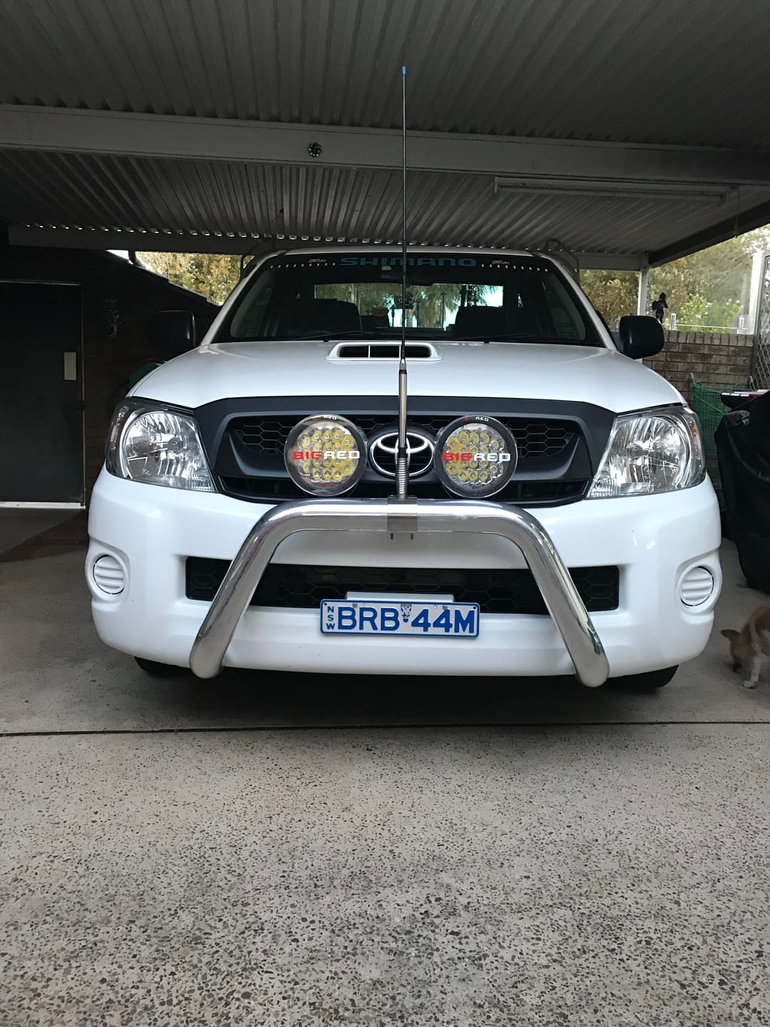 Customer photo review of 7 Inch BRG Driving Light Starter Kit (PAIR W/HARNESS)