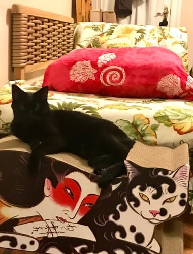 Customer photo review of Ningyo Cat Scratcher