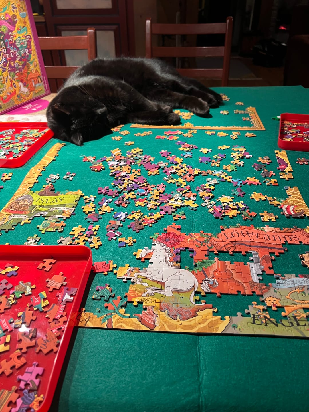 Customer photo review of Whisky Puzzle - Scotland