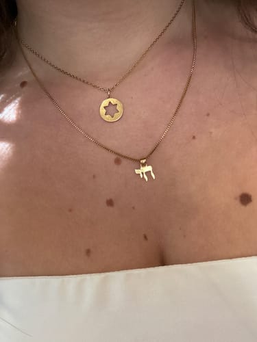 Customer photo review of Chai Necklace