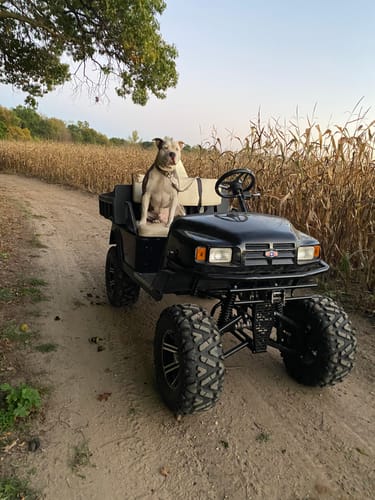 Customer photo review of Predator 22hp Installation Kit for 1994-2008 EZ-GO TXT / Medalist / Workhorse