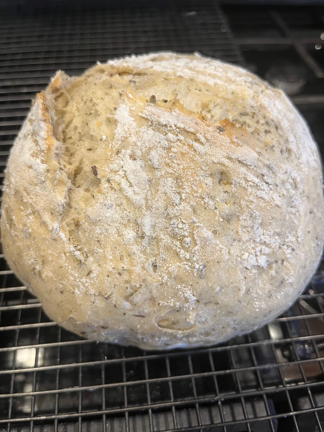 Customer photo review of Dehydrated Sourdough Starter Kit