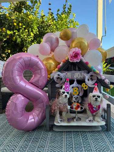 Customer photo review of Personalized Dog Party Pack