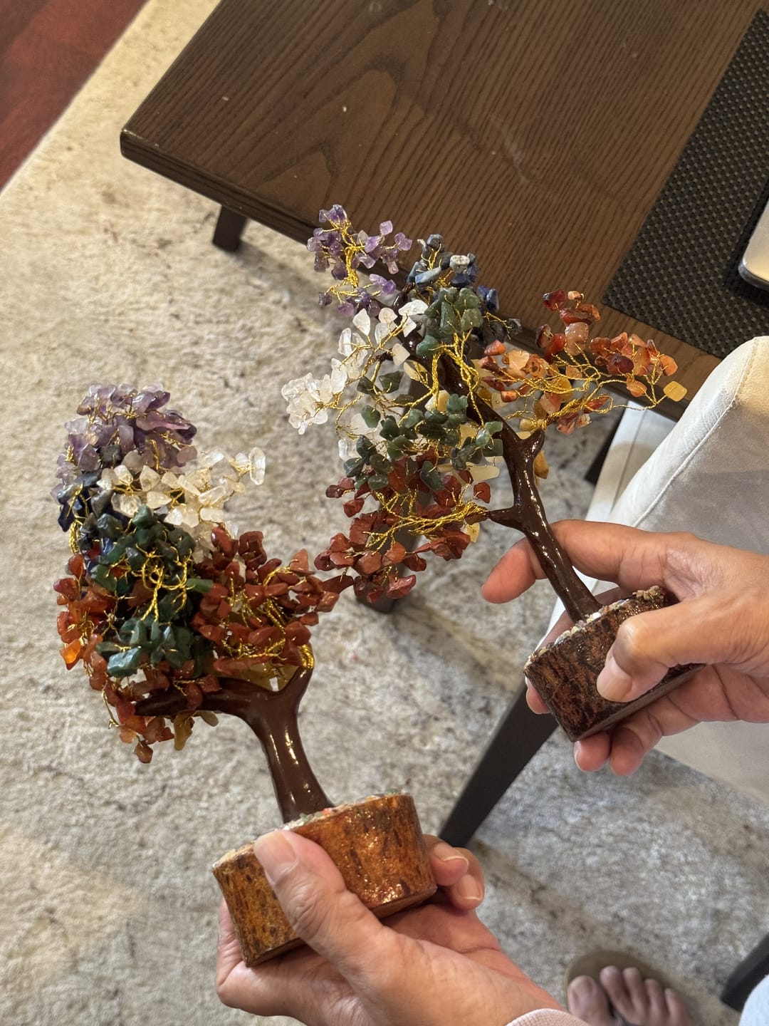 Customer photo review of Seven Chakra Tree