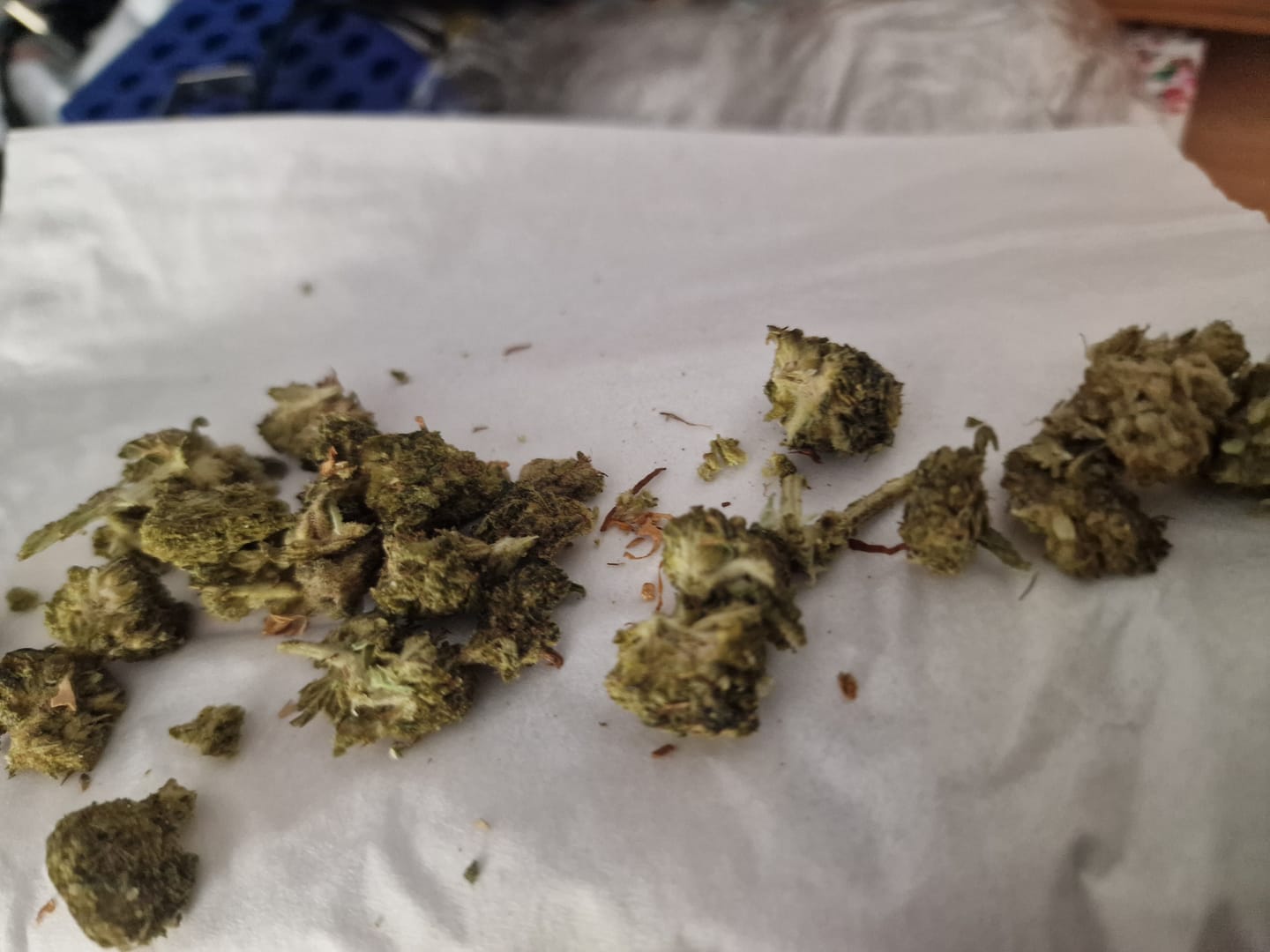 Customer photo review of LEMON COOKIES x 10% THCP