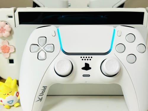 Customer photo review of クリティカルモデル - デュアルセンス PS5 ボイドコントローラー