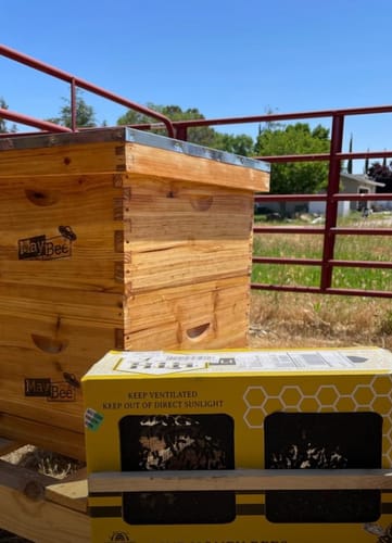 Customer photo review of MayBee Hives 10 Frame Complete Cedar Wood Beehive Kits Include: 2 Deep Bee Boxes And 1 Super Bee Box with Pine Wooden Frame And Beeswax Coated Plastic Foundation