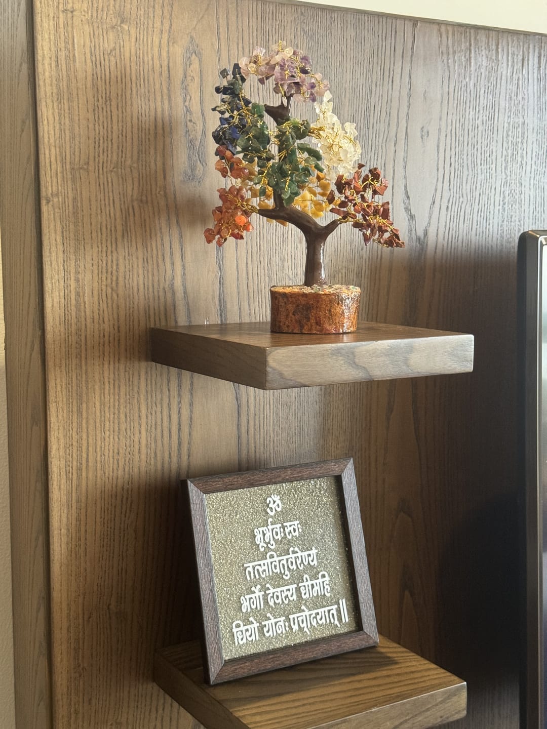 Customer photo review of Seven Chakra Tree