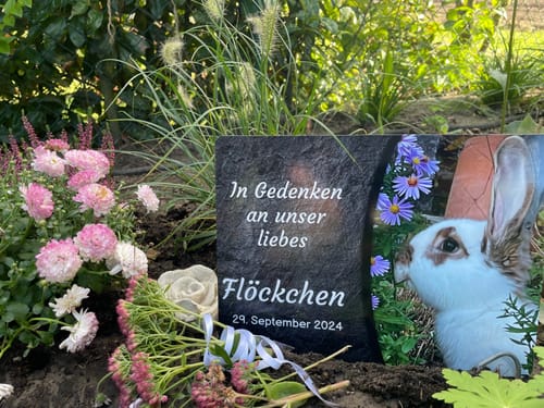 Customer photo review of Kaninchen Gedenktafel mit Foto & eigenem Text (UV- & Wetterfest)
