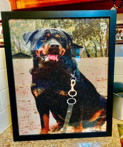 Customer photo review of Custom Diamond Painting