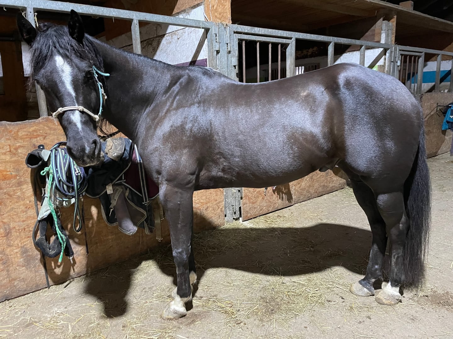 Customer photo review of Kristallkraft Femmina
