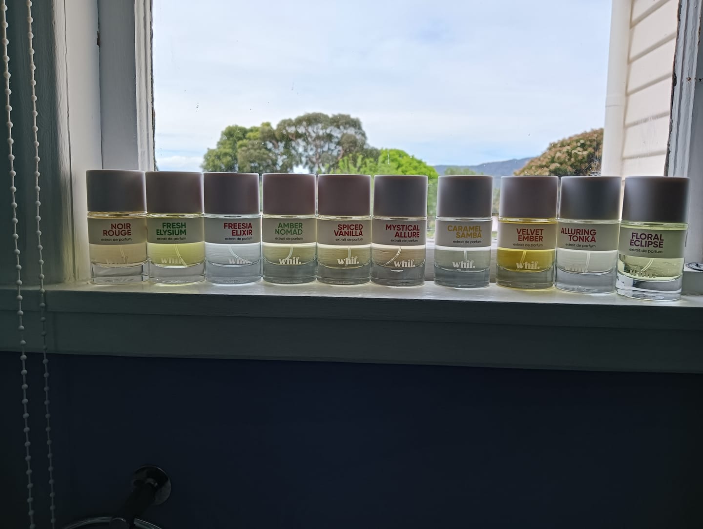 Customer photo review of Caramel Samba
