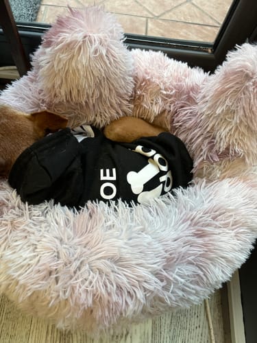 Customer photo review of Felpa "Adidog" Nera Personalizzabile con nome