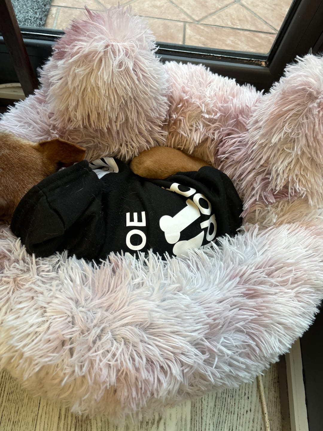Customer photo review of Felpa "Adidog" Nera Personalizzabile con nome