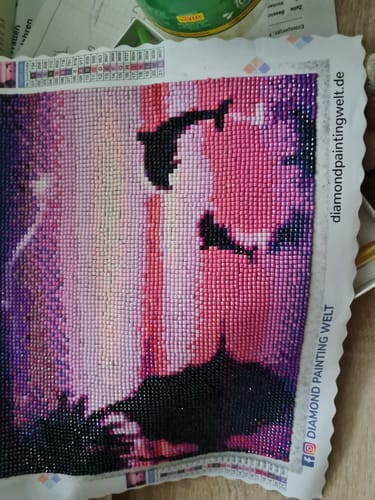 Kundenbewertung mit Foto zu Delfine Violette Nacht