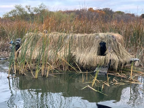 Customer photo review of Hunting Blind Raffia Grass (Pack)