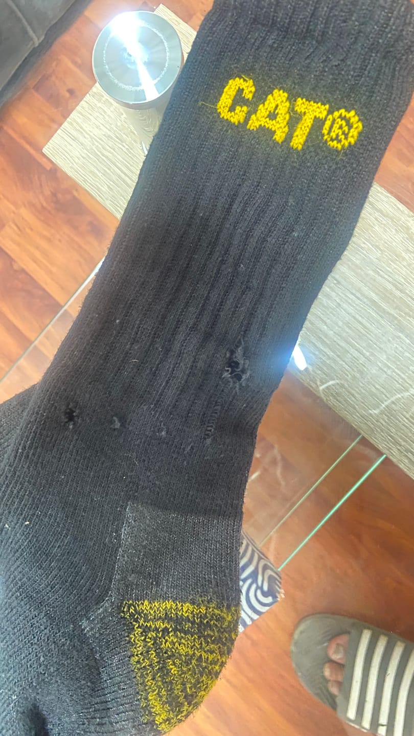 Customer photo review of Premium Work Sock 3 Pair Pack  Black