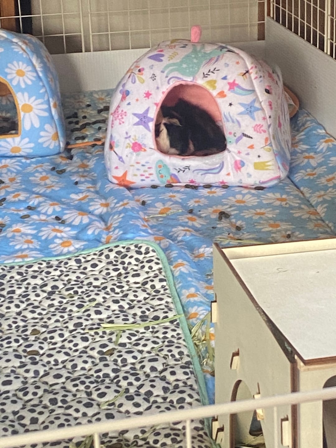 Customer photo review of Homely Fleece Hidey | Unicorn