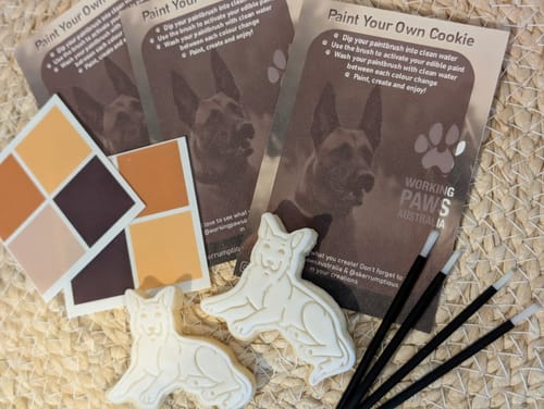 Customer photo review of Paint Palettes PYO  - Boho Colours (Sheet of 8 palettes)