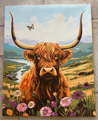Customer photo review of Highlands Cow